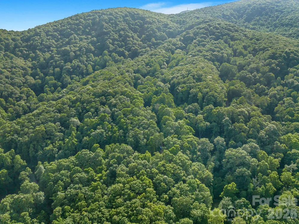 8 Carls Cove Road Black Mountain, NC 28711