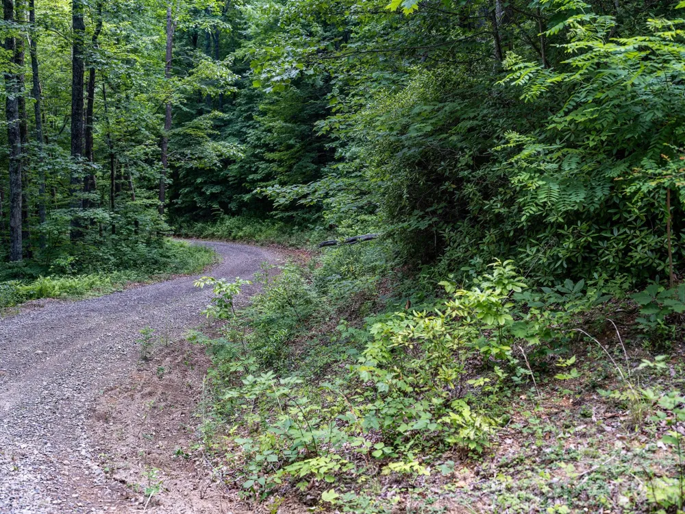 8 Carls Cove Road Black Mountain, NC 28711