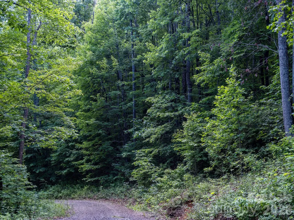 8 Carls Cove Road Black Mountain, NC 28711