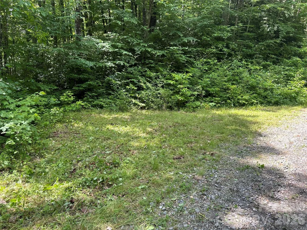 8 Carls Cove Road Black Mountain, NC 28711