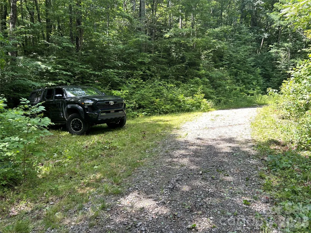 8 Carls Cove Road Black Mountain, NC 28711