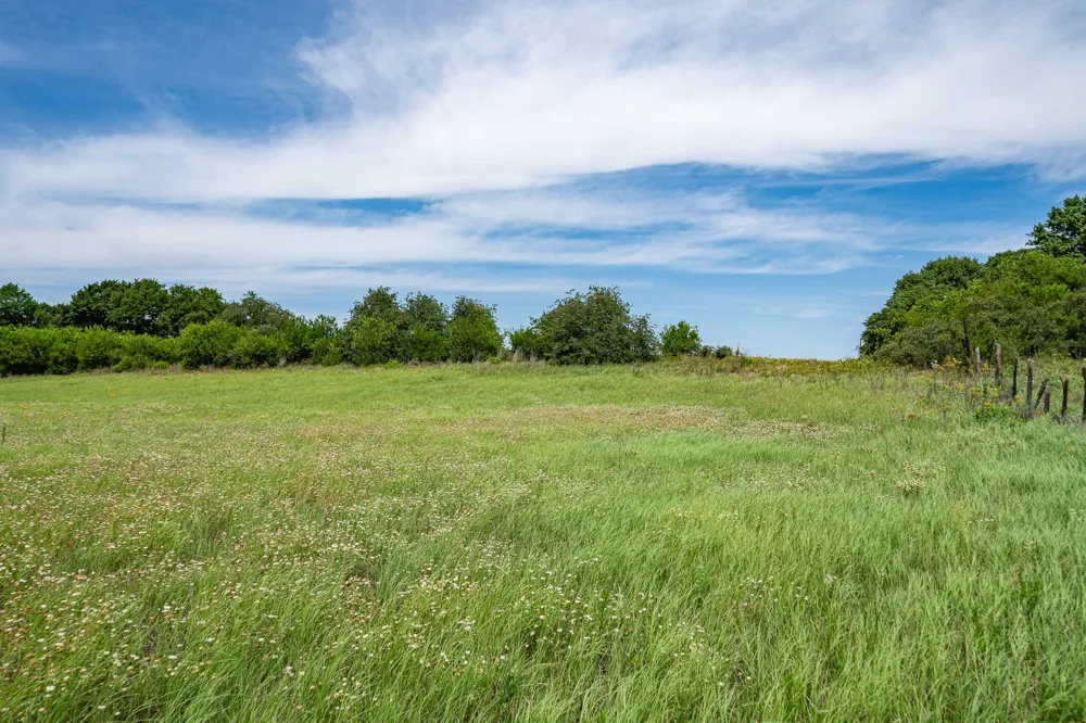 10362 Farm Road 3326 Hawley, TX 79525