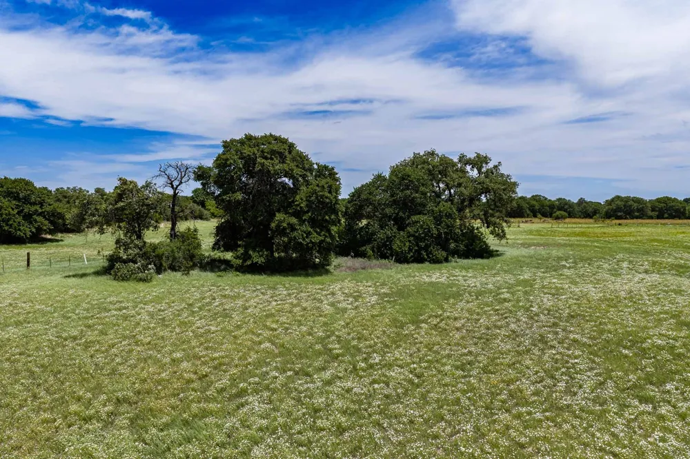 10362 Farm Road 3326 Hawley, TX 79525