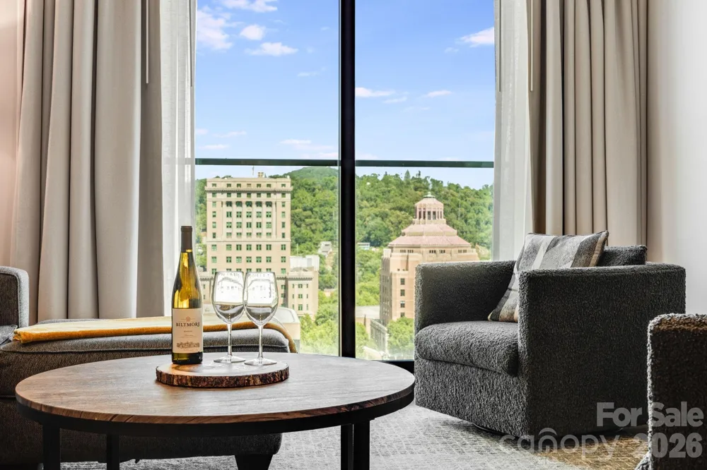 7 Patton Avenue #1006 Asheville, NC 28801