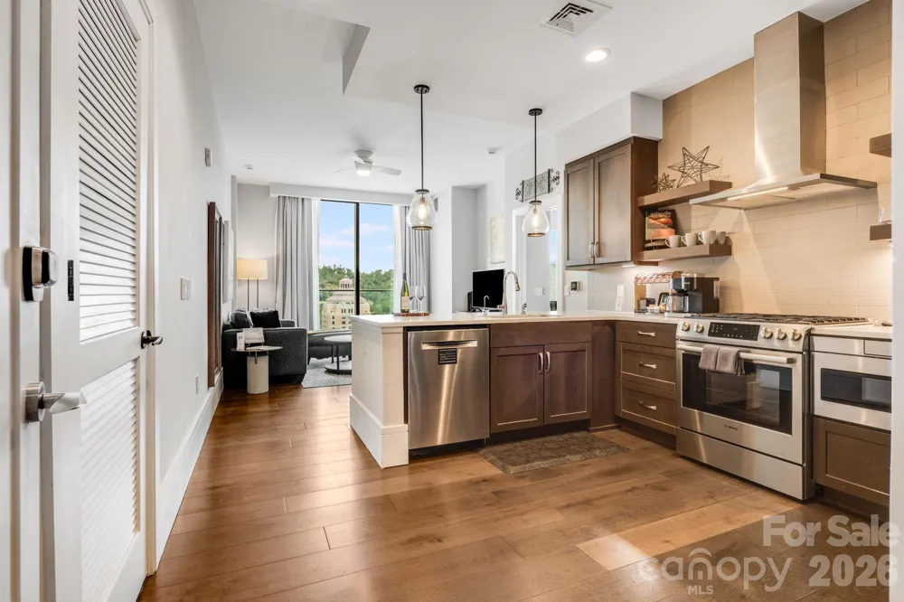 7 Patton Avenue #1006 Asheville, NC 28801