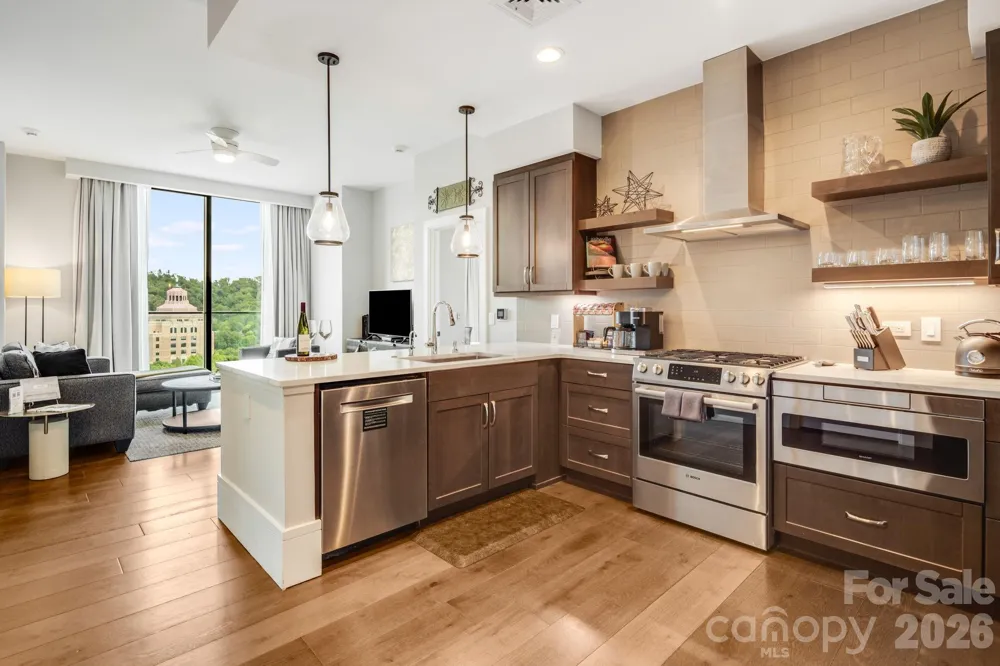 7 Patton Avenue #1006 Asheville, NC 28801