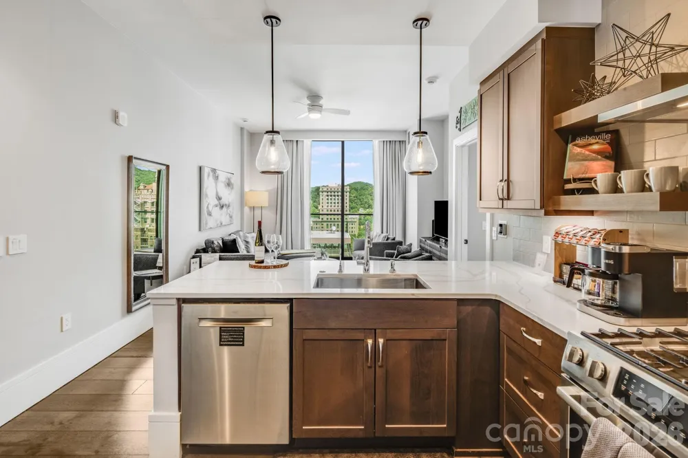 7 Patton Avenue #1006 Asheville, NC 28801