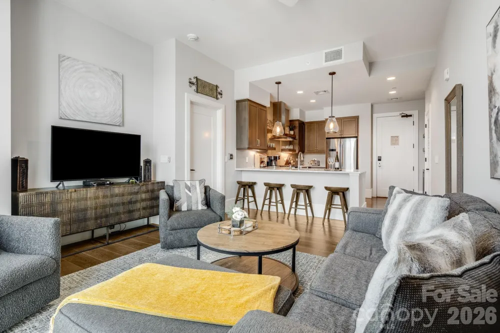 7 Patton Avenue #1006 Asheville, NC 28801