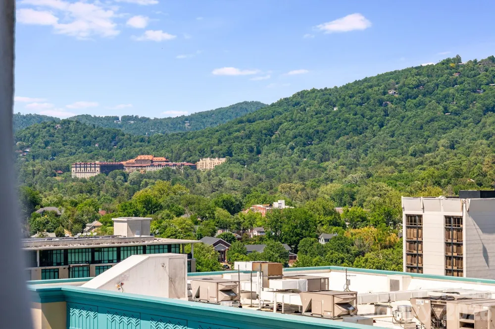 7 Patton Avenue #1006 Asheville, NC 28801