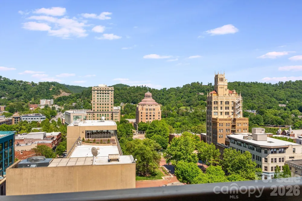 7 Patton Avenue #1006 Asheville, NC 28801