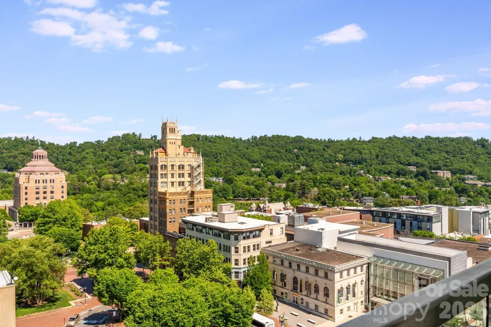 7 Patton Avenue #1006 Asheville, NC 28801