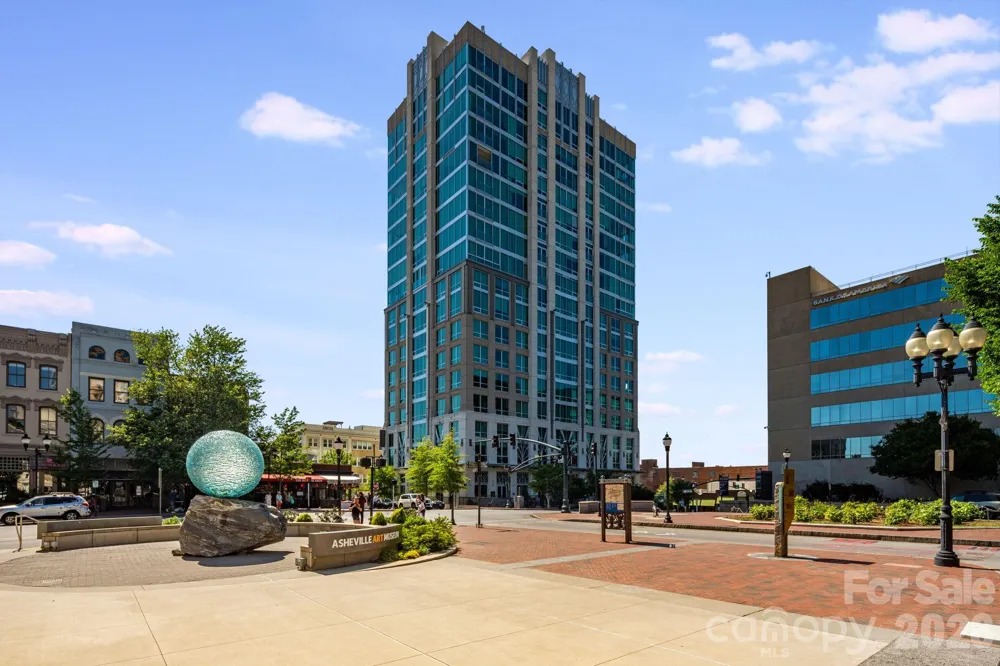 7 Patton Avenue #1006 Asheville, NC 28801
