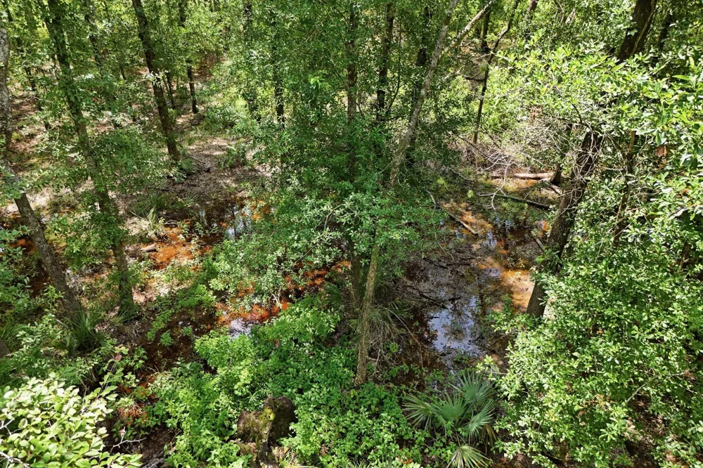 Coleman Drive Splendora, TX 77372