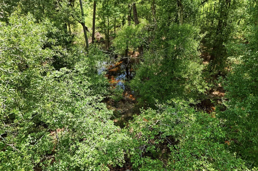 Coleman Drive Splendora, TX 77372