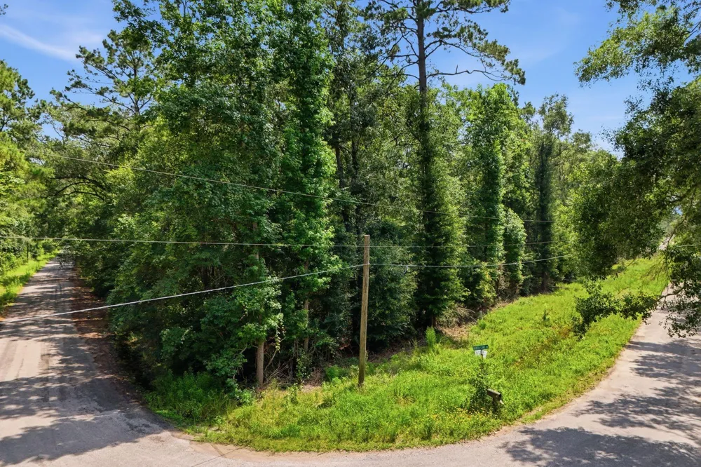 Coleman Drive Splendora, TX 77372