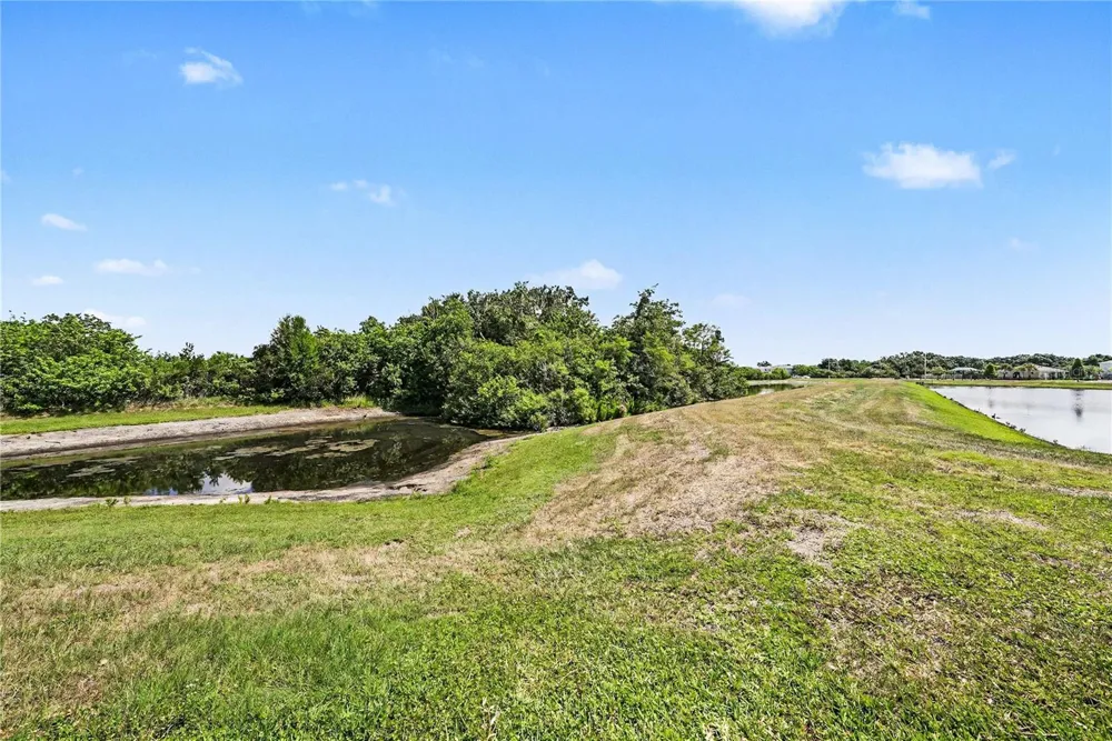 11453 STONE PINE STREET Riverview, FL 33569