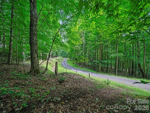 000 Shadow Moss Drive #8B