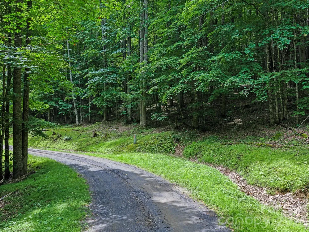 000 Shadow Moss Drive #8B Burnsville, NC 28714