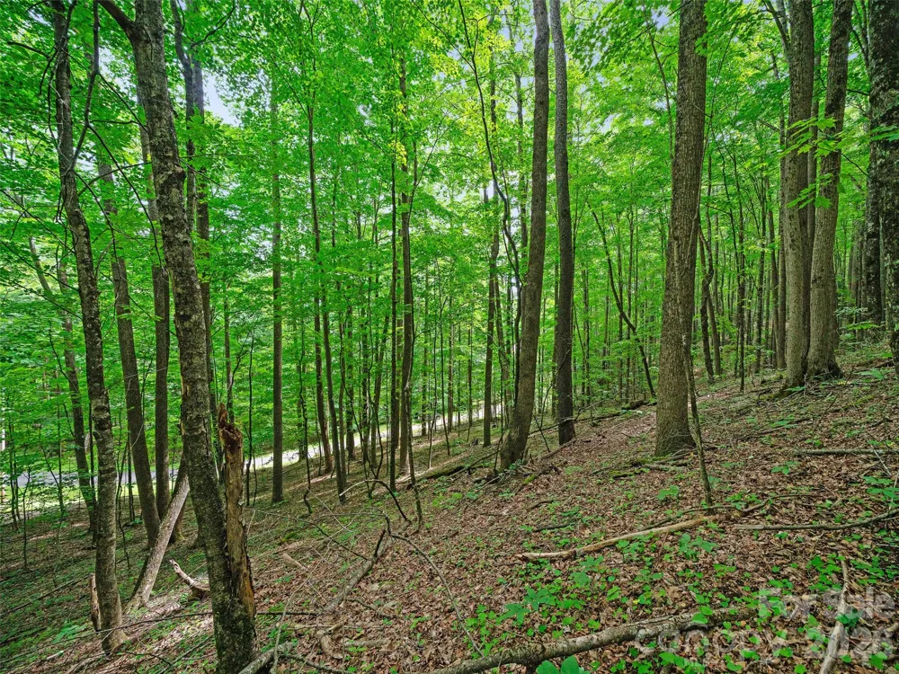 000 Shadow Moss Drive #8B Burnsville, NC 28714