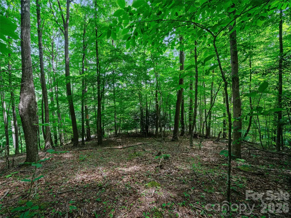 000 Shadow Moss Drive #8B Burnsville, NC 28714