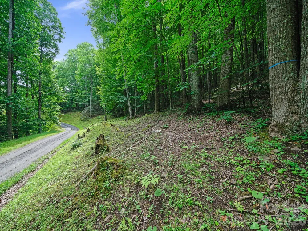 000 Shadow Moss Drive #8B Burnsville, NC 28714