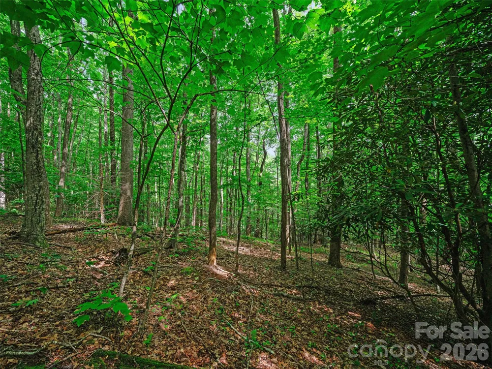 000 Shadow Moss Drive #8B Burnsville, NC 28714