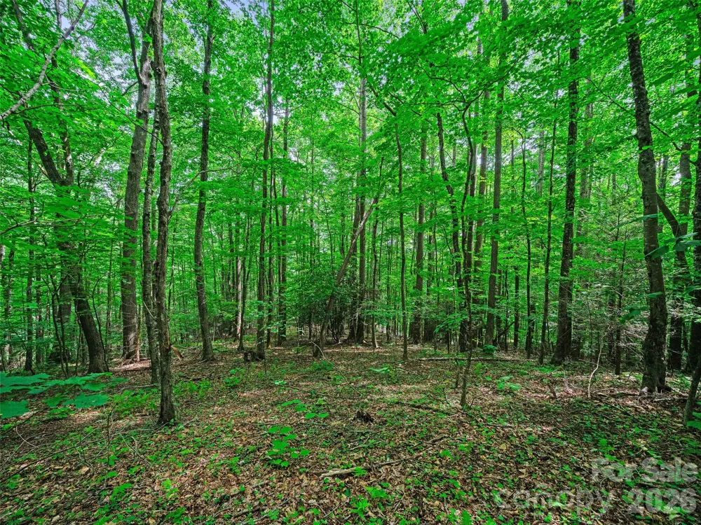 000 Shadow Moss Drive #8B Burnsville, NC 28714