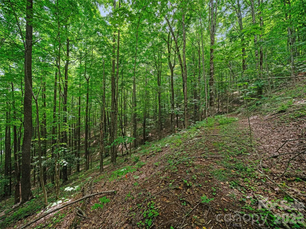 000 Shadow Moss Drive #8B Burnsville, NC 28714