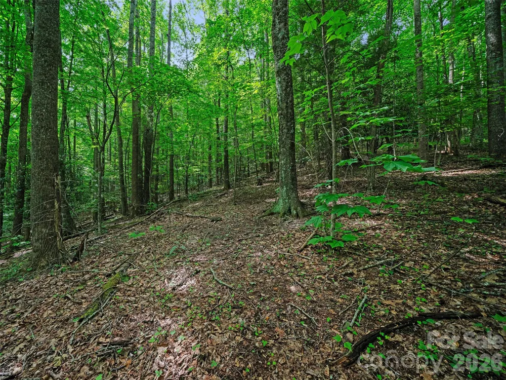 000 Shadow Moss Drive #8B Burnsville, NC 28714