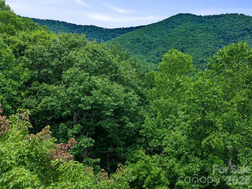 000 Shadow Moss Drive #8B Burnsville, NC 28714