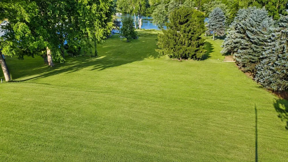 711 Granger Street Manchester, MI 48158