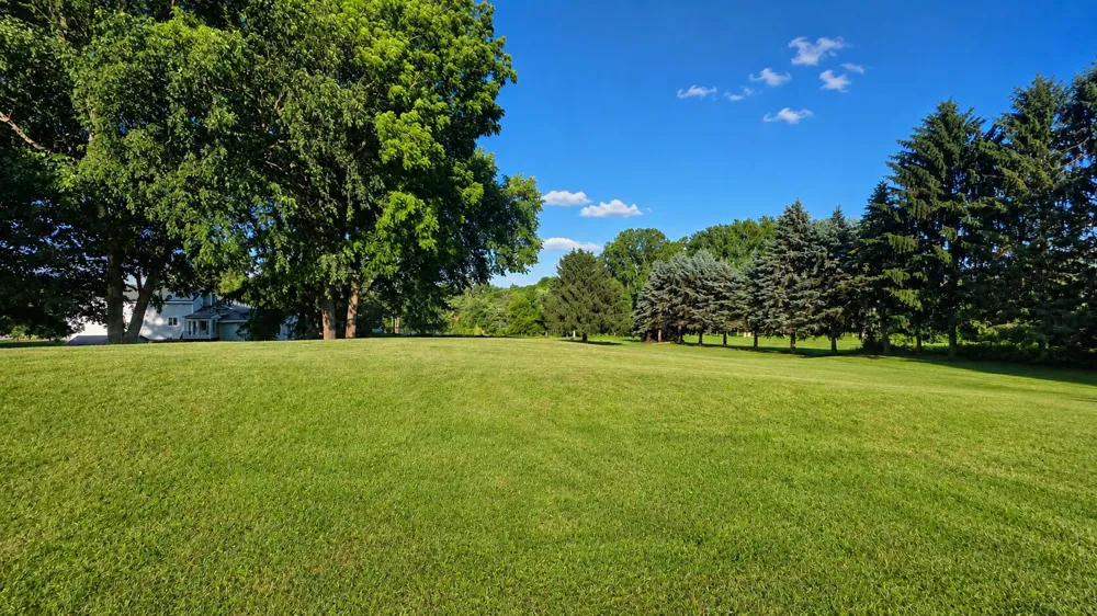 711 Granger Street Manchester, MI 48158