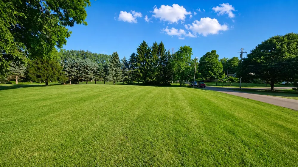 711 Granger Street Manchester, MI 48158