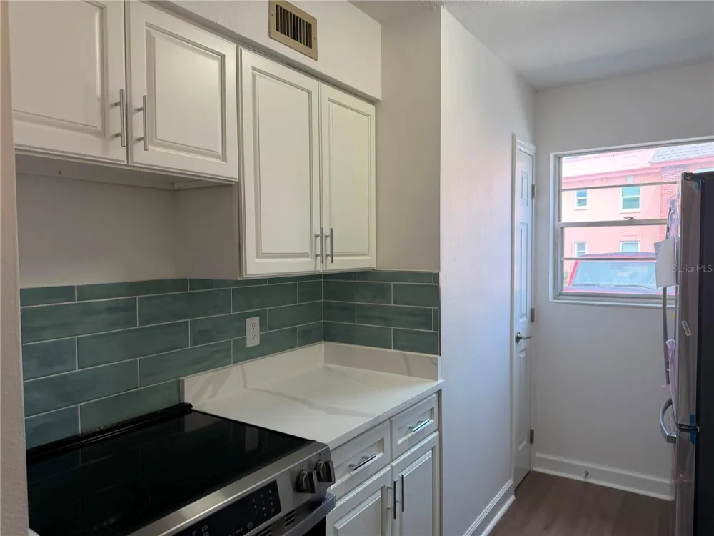 1134 RUE DES ROIS #1134 St Petersburg, FL 33707