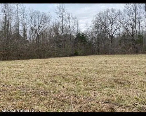 19576 Mississippi 6 Batesville, MS 38606
