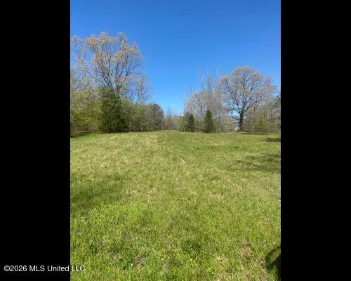 19576 Mississippi 6 Batesville, MS 38606