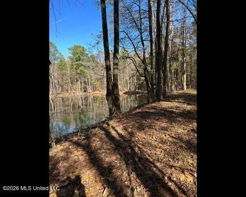 19576 Mississippi 6 Batesville, MS 38606
