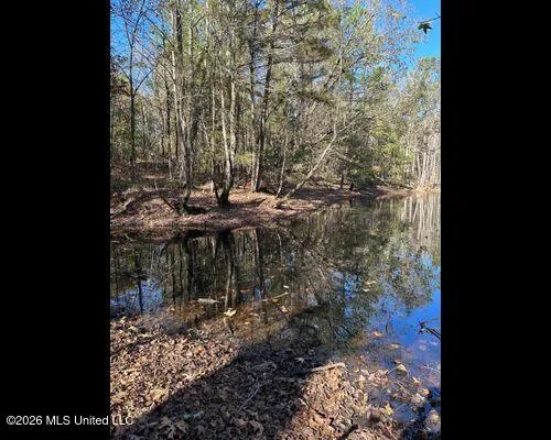 19576 Mississippi 6 Batesville, MS 38606