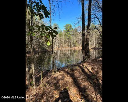 19576 Mississippi 6 Batesville, MS 38606