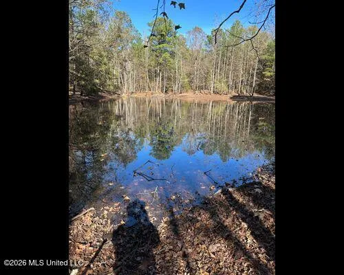 19576 Mississippi 6 Batesville, MS 38606