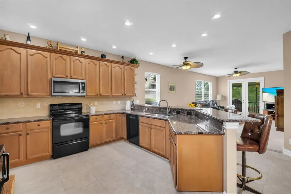 1460 RIBOLLA DRIVE Palm Harbor, FL 34683