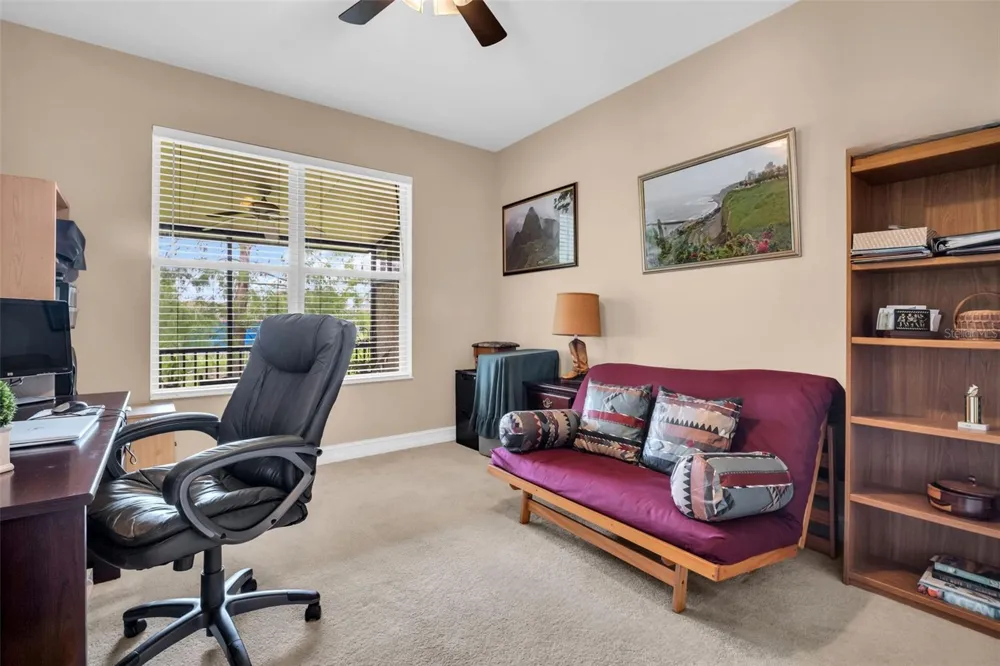 1460 RIBOLLA DRIVE Palm Harbor, FL 34683