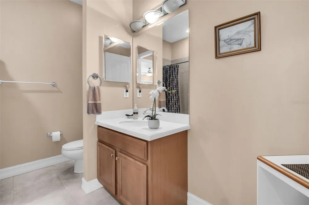 1460 RIBOLLA DRIVE Palm Harbor, FL 34683