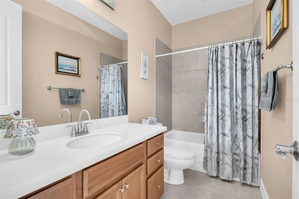 1460 RIBOLLA DRIVE Palm Harbor, FL 34683