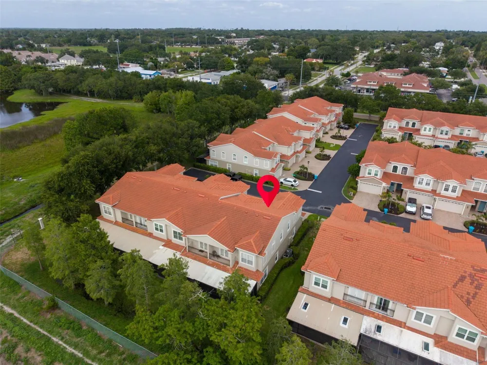 1460 RIBOLLA DRIVE Palm Harbor, FL 34683
