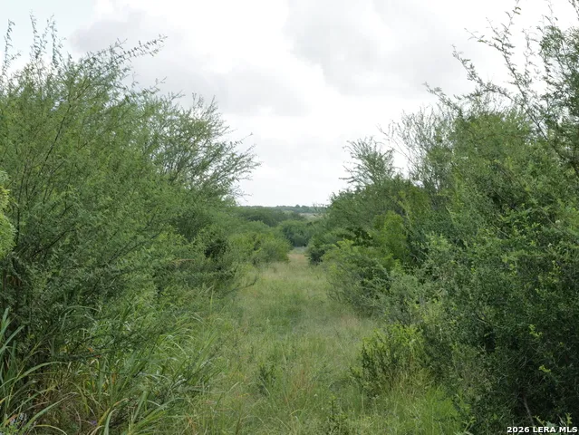 TBD LOT 4 CR 207 Hobson, TX 78117