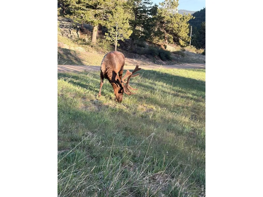 408 Meadowview Drive Estes Park, CO 80517