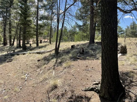971 Spring Valley Lane