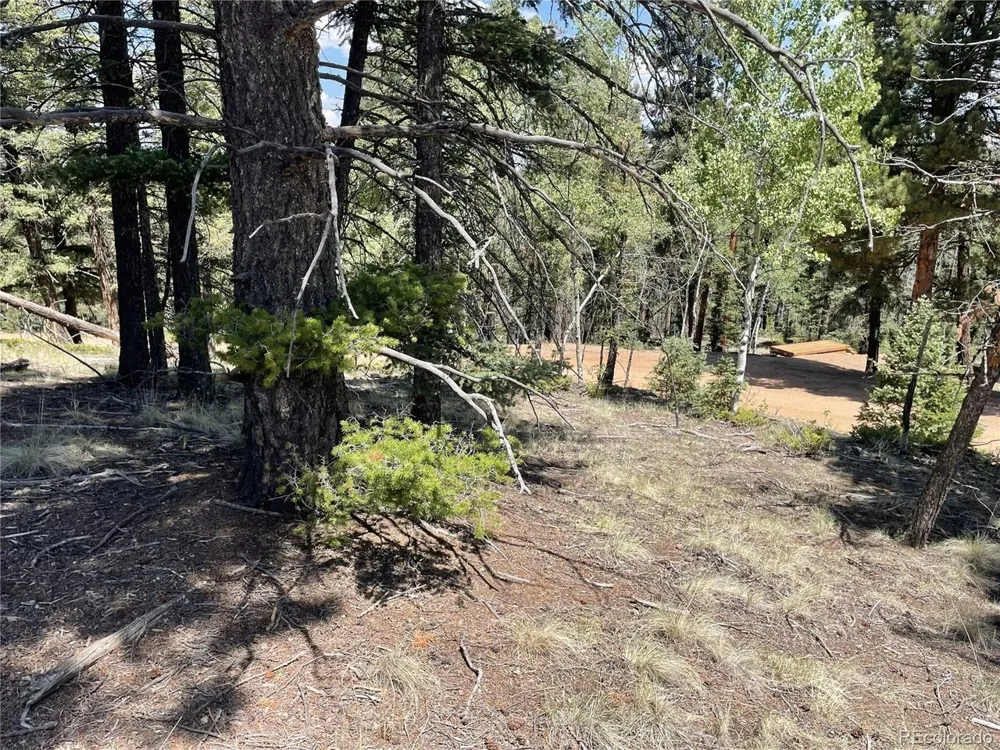 971 Spring Valley Lane Florissant, CO 80816
