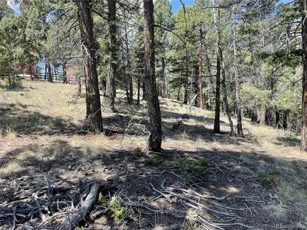 971 Spring Valley Lane Florissant, CO 80816